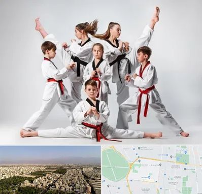 باشگاه کاراته در نازی آباد