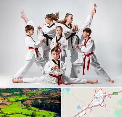 باشگاه کاراته در نکا