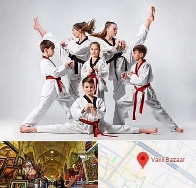 باشگاه کاراته در بازار وکیل شیراز