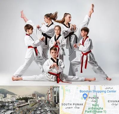 باشگاه کاراته در پونک 