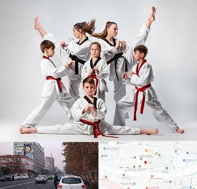 باشگاه کاراته در کارگر شمالی 