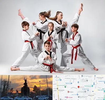 باشگاه کاراته در میدان حر 