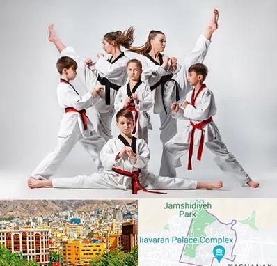 باشگاه کاراته در نیاوران 