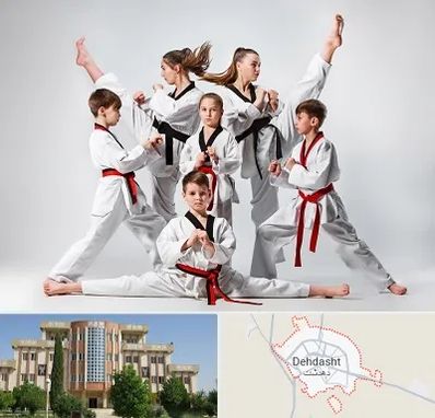باشگاه کاراته در دهدشت