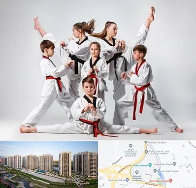 باشگاه کاراته در المپیک 