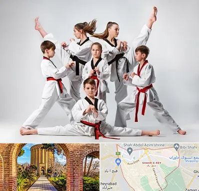 باشگاه کاراته در شهر ری