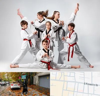 باشگاه کاراته در خیابان فلسطین