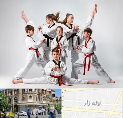 باشگاه کاراته در لاله زار