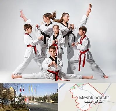 باشگاه کاراته در مشکین دشت