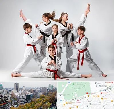 باشگاه کاراته در بلوار کشاورز 