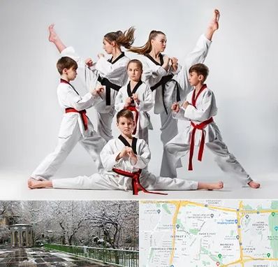 باشگاه کاراته در باغ فیض