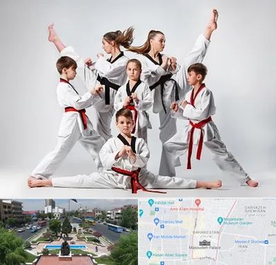 باشگاه کاراته در بهارستان 