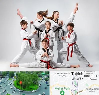 باشگاه کاراته در تجریش 