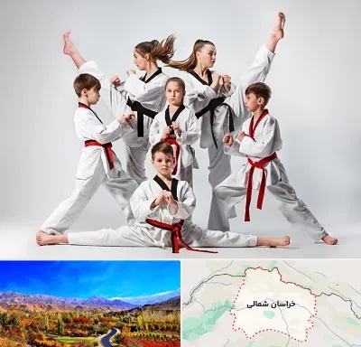 باشگاه کاراته در خراسان شمالی
