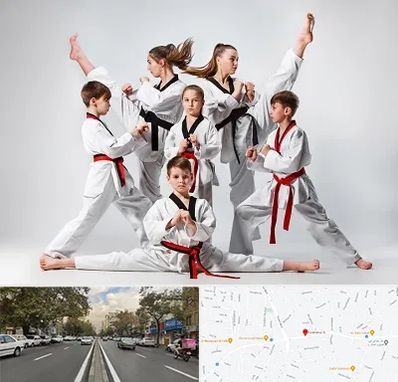 باشگاه کاراته در دولت