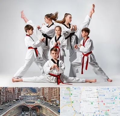 باشگاه کاراته در منطقه 10 تهران 