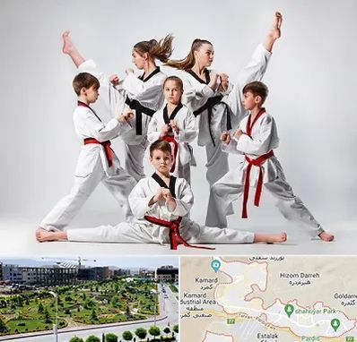 باشگاه کاراته در پردیس