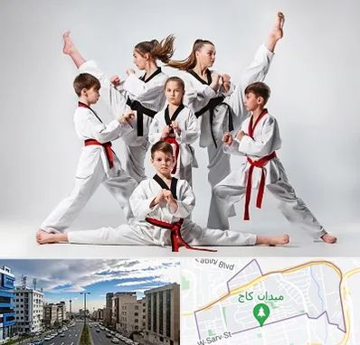 باشگاه کاراته در سعادت آباد 