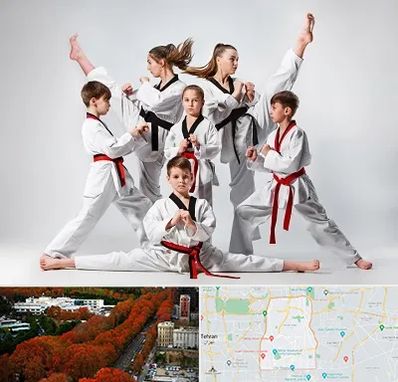 باشگاه کاراته در منطقه 6 تهران 