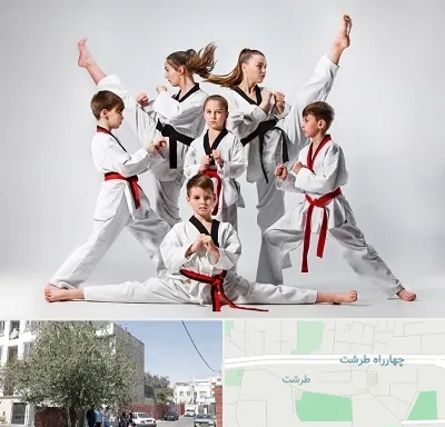 باشگاه کاراته در طرشت