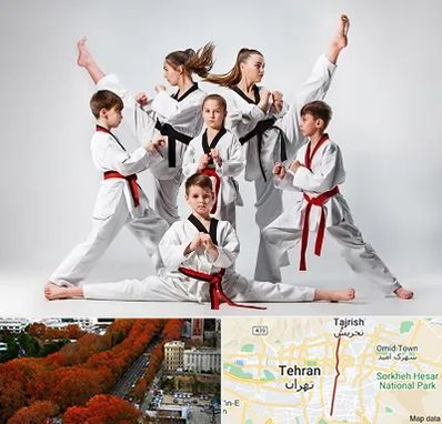 باشگاه کاراته در ولیعصر 