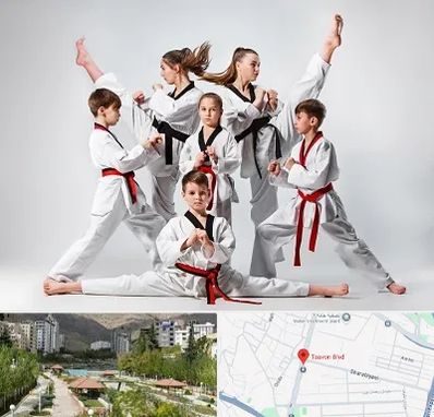 باشگاه کاراته در بلوار تعاون