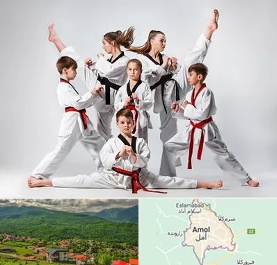 باشگاه کاراته در آمل