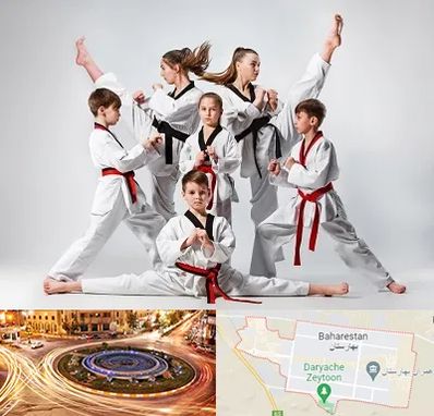 باشگاه کاراته در بهارستان