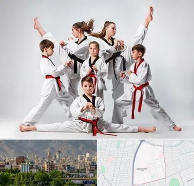 باشگاه کاراته در جمشیدیه