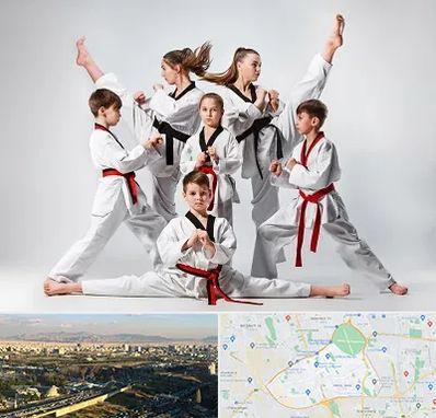 باشگاه کاراته در منطقه 19 تهران 