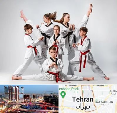 باشگاه کاراته در صادقیه 