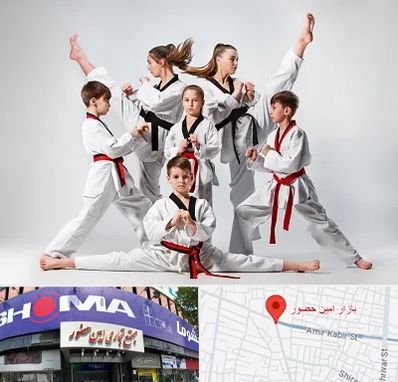 باشگاه کاراته در امین حضور