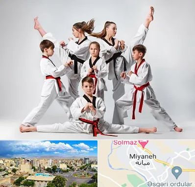 باشگاه کاراته در میانه