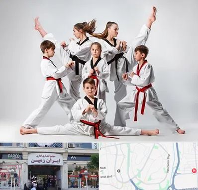 باشگاه کاراته در ایران زمین