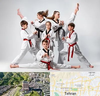 باشگاه کاراته در شمال تهران 