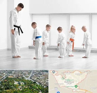 مربی کاراته در شهرکرد