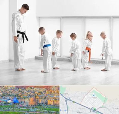 مربی کاراته در رشدیه تبریز