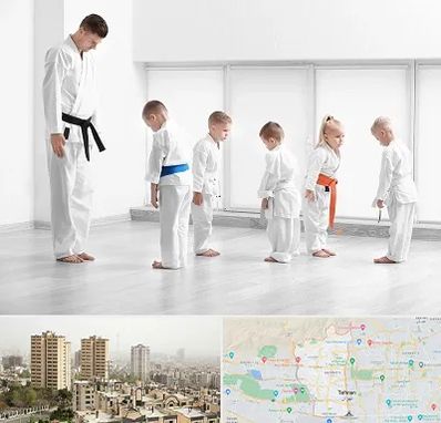 مربی کاراته در منطقه 5 تهران 