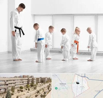 مربی کاراته در واوان اسلامشهر