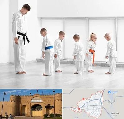 مربی کاراته در ایرانشهر