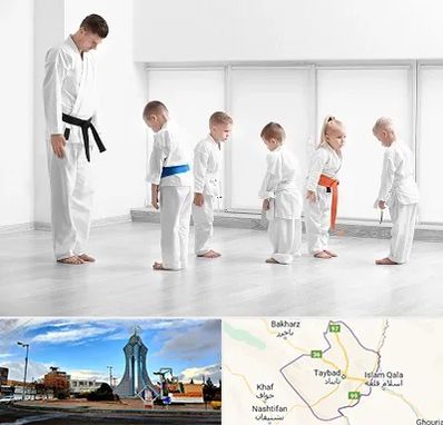 مربی کاراته در تایباد