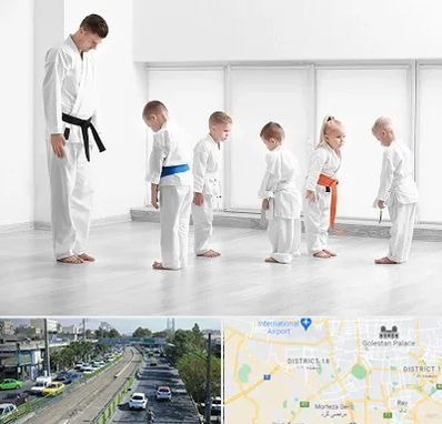 مربی کاراته در جنوب تهران 