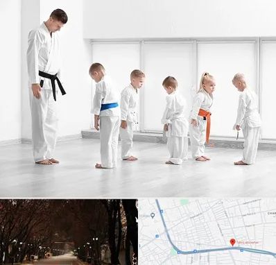 مربی کاراته در ابوریحان تبریز