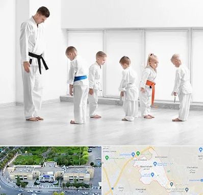 مربی کاراته در نسیم شهر