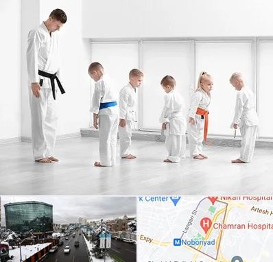 مربی کاراته در اقدسیه 