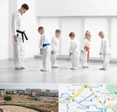 مربی کاراته در کوی وحدت شیراز