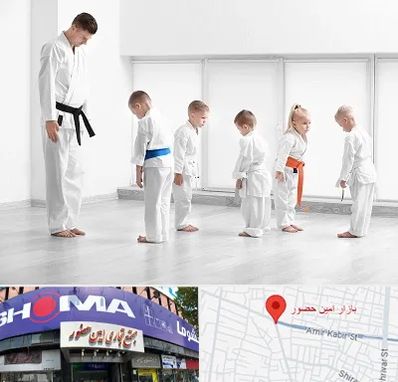مربی کاراته در امین حضور