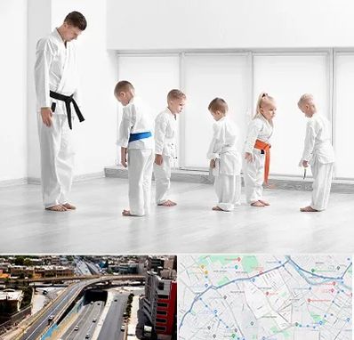 مربی کاراته در ستارخان شیراز