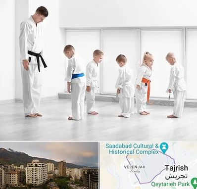 مربی کاراته در زعفرانیه 