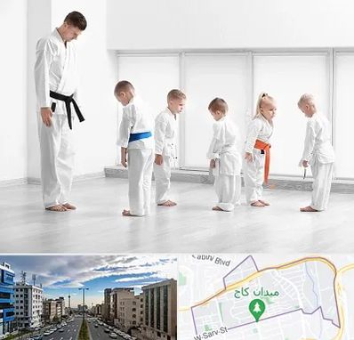 مربی کاراته در سعادت آباد 